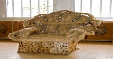 Fauteuil de prince africain